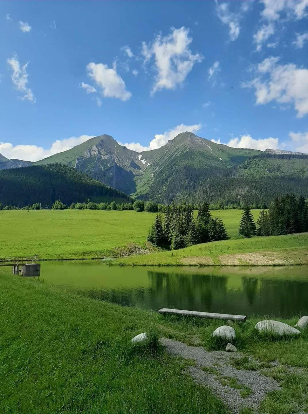 Stylovy Zrub Martina B S Pieckou A Kupacou Kadou! Villa Zdiar Bagian luar foto